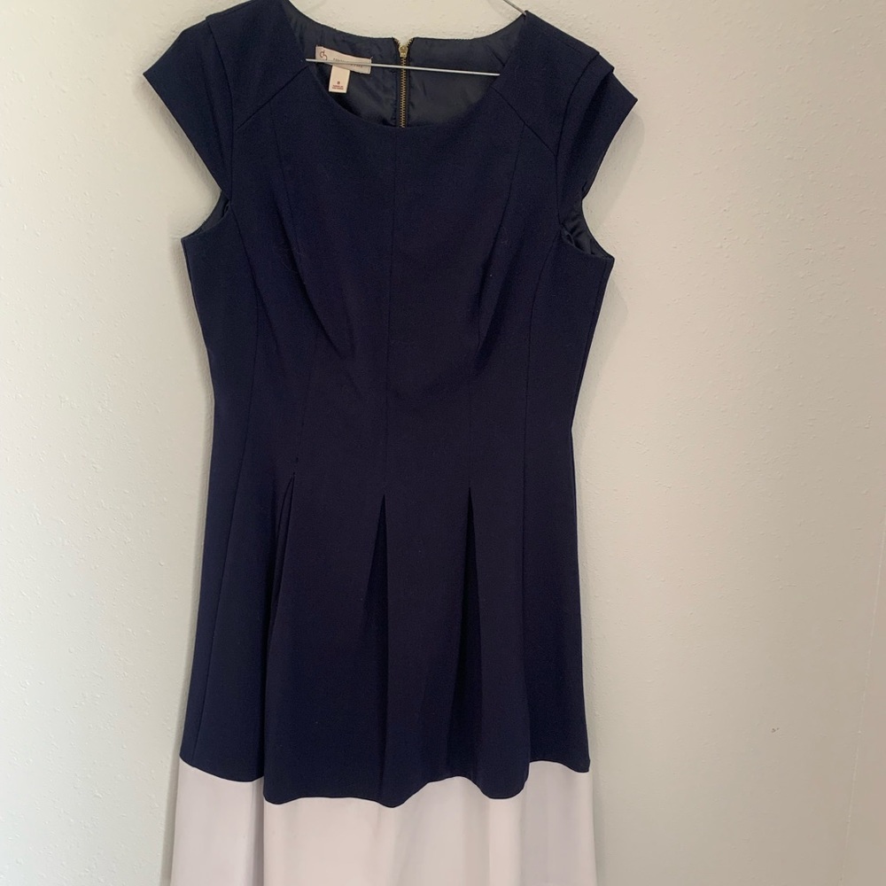 Women’s Dress Barn Established Blue and White Trim Dress‎ Size 8